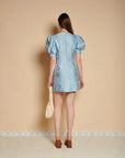 Angie Mini Dress - Blue
