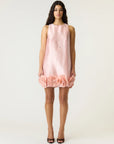Ellina Mini dress - Blush