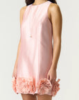Ellina Mini dress - Blush