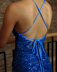 Vol Dress - Blue